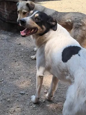 Monty sucht SEINE Menschen Bild 2