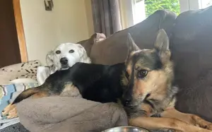 Schenkst du Eva dein Herz? Bild 4