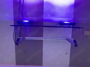 Meerwasser Beleuchtung 2 x Radion XR15w G4 Pro