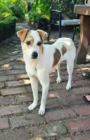 Ivo möchte endlich ankommen