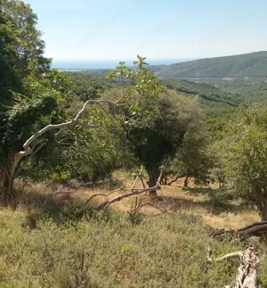 Baugrundstück 300m2 Strand 4-5km. Meerblick , Naturwasser Quelle