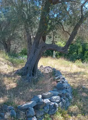 Baugrundstück 300m2 Strand 4-5km. Meerblick , Naturwasser Quelle Bild 5