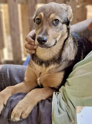 Jessy sucht liebe Menschen