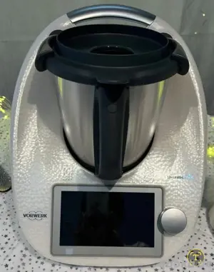 Thermomix TM6 in Snow
