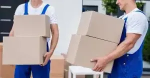  Transport, Umzug & mehr   Alles aus einer Hand! 