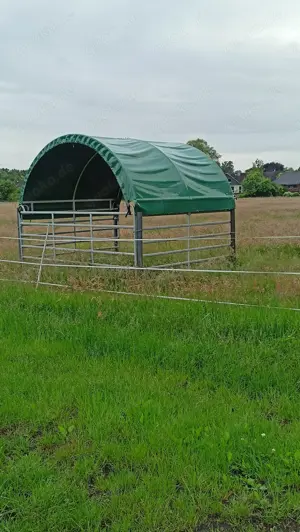 Biete Weideplatz in Offenstall bzw. Weideplatz für Pony oder Kleinpferd Bild 6