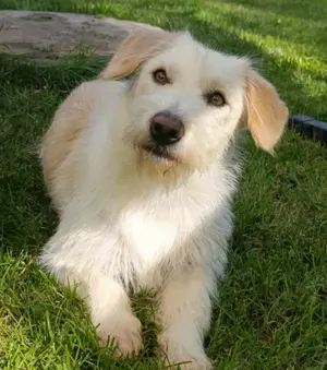 Kira möchte endlich ankommen!