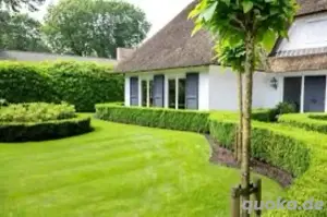 Baumfällung-Grünschnitt-Gartenservice