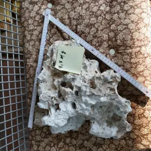 Lochgestein für Aquarium oder Steingarten!