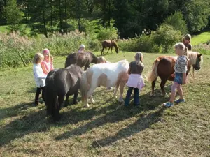 Schnuppernachmittag mit unseren Ponys in PLZ 74538 Bild 3