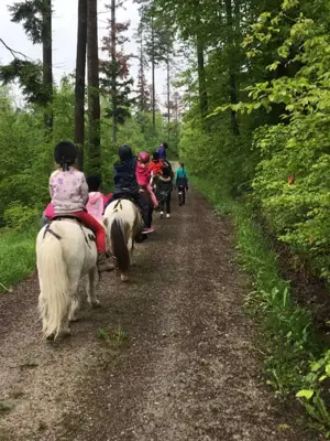 Schnuppernachmittag mit unseren Ponys in PLZ 74538 Bild 2