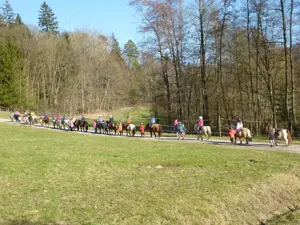 Schnuppernachmittag mit unseren Ponys in PLZ 74538 Bild 5