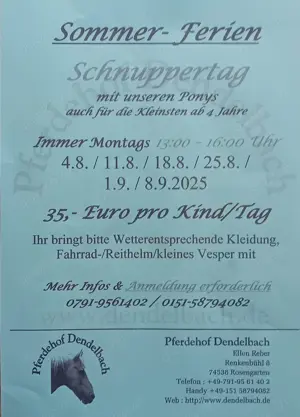 Schnuppernachmittag mit unseren Ponys in PLZ 74538 Bild 8