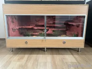 Terrarium zu verkaufen 150x80x80