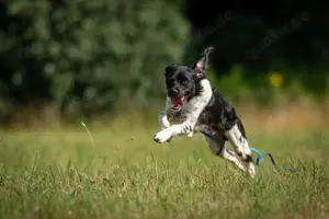 Darf Ihr Leben durch den Knusperkeks Oreo ein wenig bunter werden? Bild 8