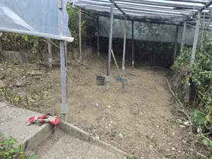 Suchen Leihziegen für verwilderten Garten 