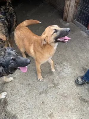 Hier kommt die tolle Rena!