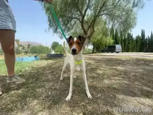 Zero   sensibler Entdecker sucht Menschen mit Herz