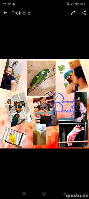 Urlaubsbetreuung für Tiere 