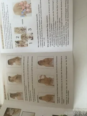 premium halo extensions Bild 4