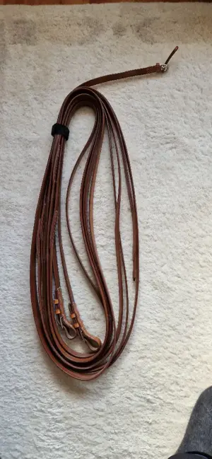 Tandemleine für Vorderpferd