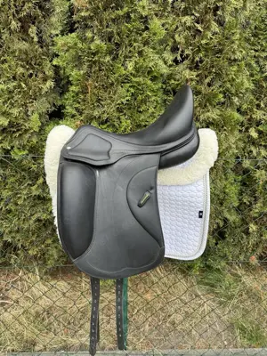 Amerigo Dressur Cervia II Pinerolo