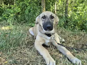 Hope blickt hoffnungsvoll in die Zukunft Bild 5