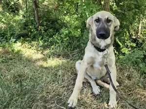 Hope blickt hoffnungsvoll in die Zukunft Bild 6