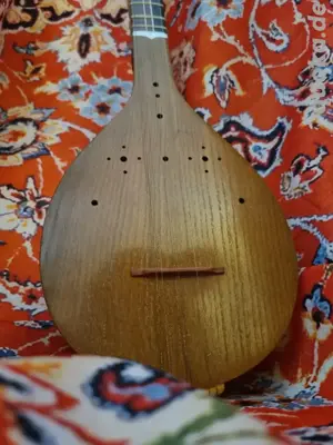 SETAR Persisches instrumente