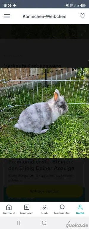 Verkaufe Farbenzwerg 