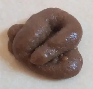 täuschend echte Hundescheisse aus Gummi .