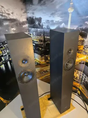 Blumenhofer Fun 13 MK2 Viertelwellen Bass-Horn High End Lautsprecher