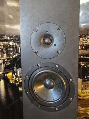 Blumenhofer Fun 13 MK2 Viertelwellen Bass-Horn High End Lautsprecher Bild 2