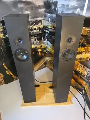 Blumenhofer Fun 13 MK2 Viertelwellen Bass-Horn High End Lautsprecher Bild 5