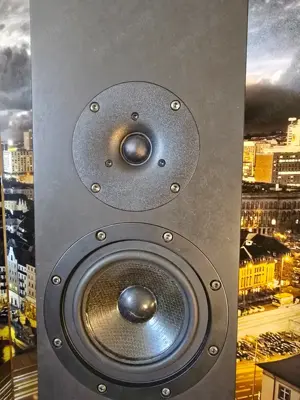 Blumenhofer Fun 13 MK2 Viertelwellen Bass-Horn High End Lautsprecher Bild 3