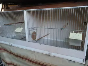 Zucht-Box, Zucht-Käfig ca. 102,5 x 35 x 40 cm