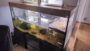 Auarium für Wasserschildkröten 400 Liter inkl. kompletten Zubehör