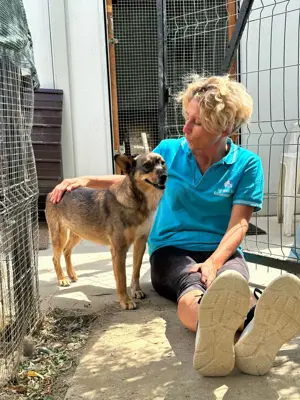 kleine Missy - wo ist mein Zuhause Bild 4