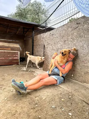 Tinchen   kleines Fräulein mit großem Herz sucht ihr Für-immer-Zuhause