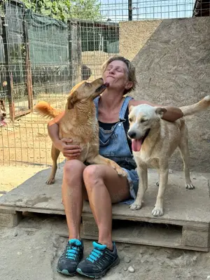 Tinchen   kleines Fräulein mit großem Herz sucht ihr Für-immer-Zuhause Bild 5