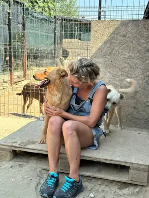 Tinchen   kleines Fräulein mit großem Herz sucht ihr Für-immer-Zuhause Bild 6