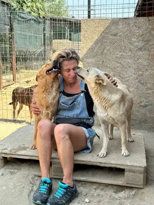 Tinchen   kleines Fräulein mit großem Herz sucht ihr Für-immer-Zuhause Bild 8