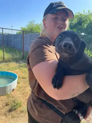 Viktoria , z. Zt. in Ungarn, ist ein typischer Welpe.  Bild 9