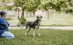 Aleksi hat seine Koffer schon gepackt Bild 4