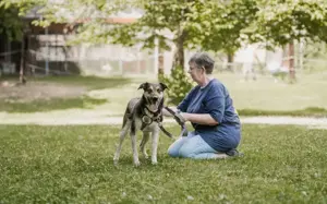 Aleksi hat seine Koffer schon gepackt Bild 2
