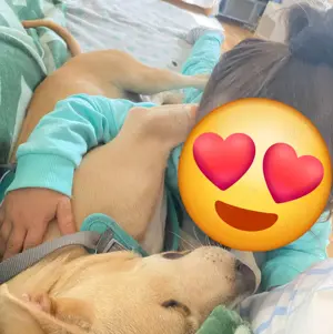 Ein Hund mit Charakter 