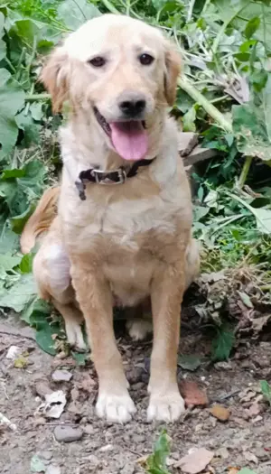 Mary sucht ein Zuhause für immer