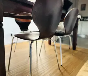 Esszimmer Stühle 