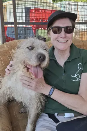 Subito, z.Zt. in Ungarn, ein außergewöhnlicher Rüde