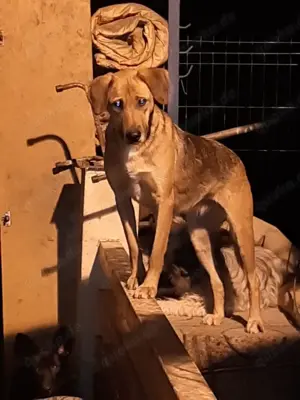 Tiana wartet noch immer auf ihr großes Glück!